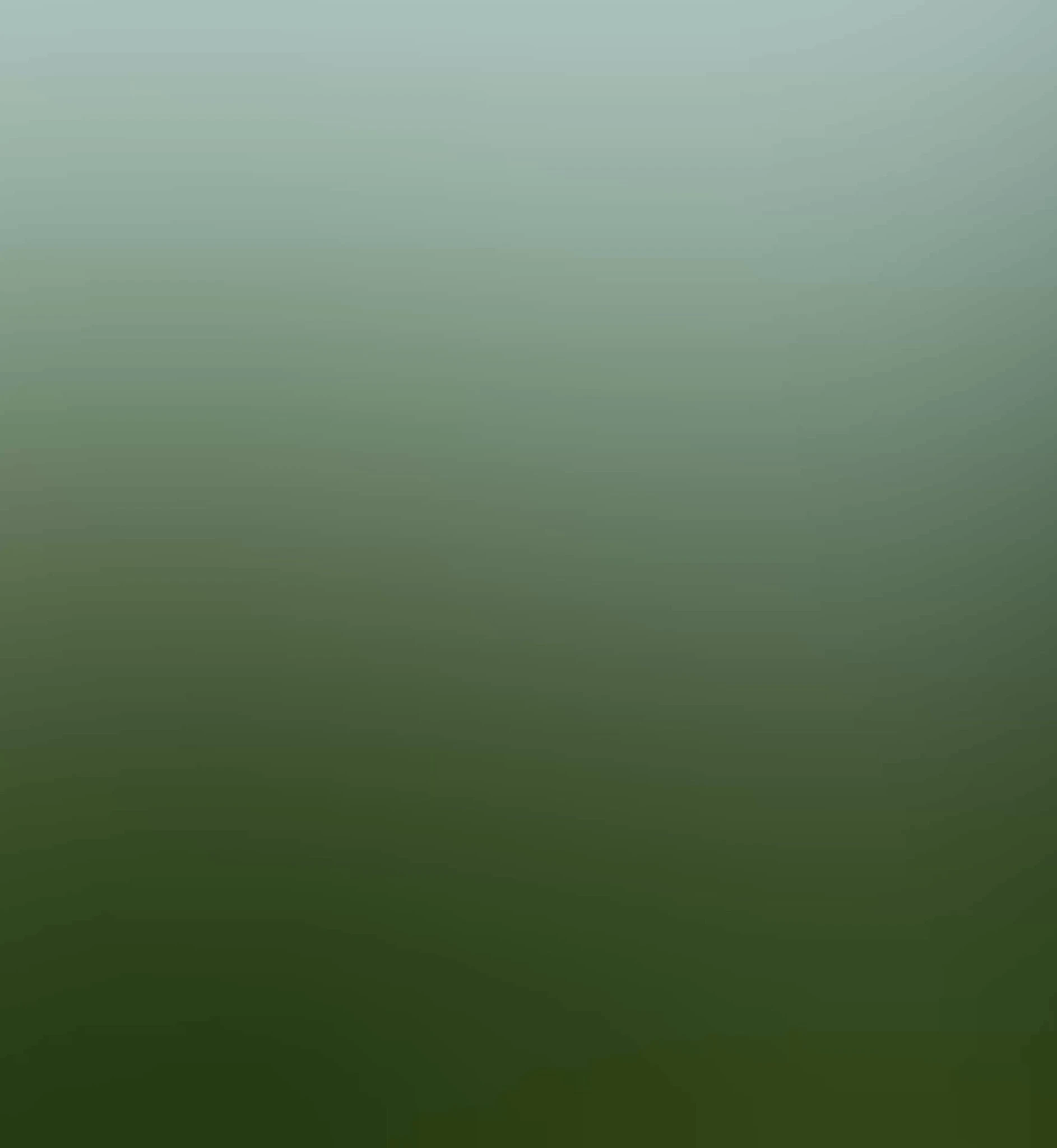Experiment of Life assistant feature